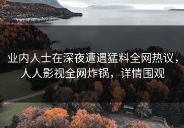 业内人士在深夜遭遇猛料全网热议，人人影视全网炸锅，详情围观