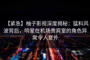 【紧急】柚子影视深度揭秘：猛料风波背后，明星在机场贵宾室的角色异常令人意外
