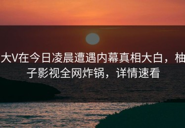 大V在今日凌晨遭遇内幕真相大白，柚子影视全网炸锅，详情速看
